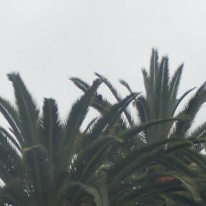 Meet your Posher, Anneliese